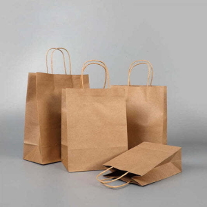 Kraft paper bag with handles Size: (W x D x H) 10 x 5 x 13 in - 100gsm/ 250 pcs Kraft paper bag with handles Size: (W x D x H) 10 x 5 x 13 in - 100gsm/ 250 pcs